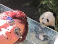 me and panda